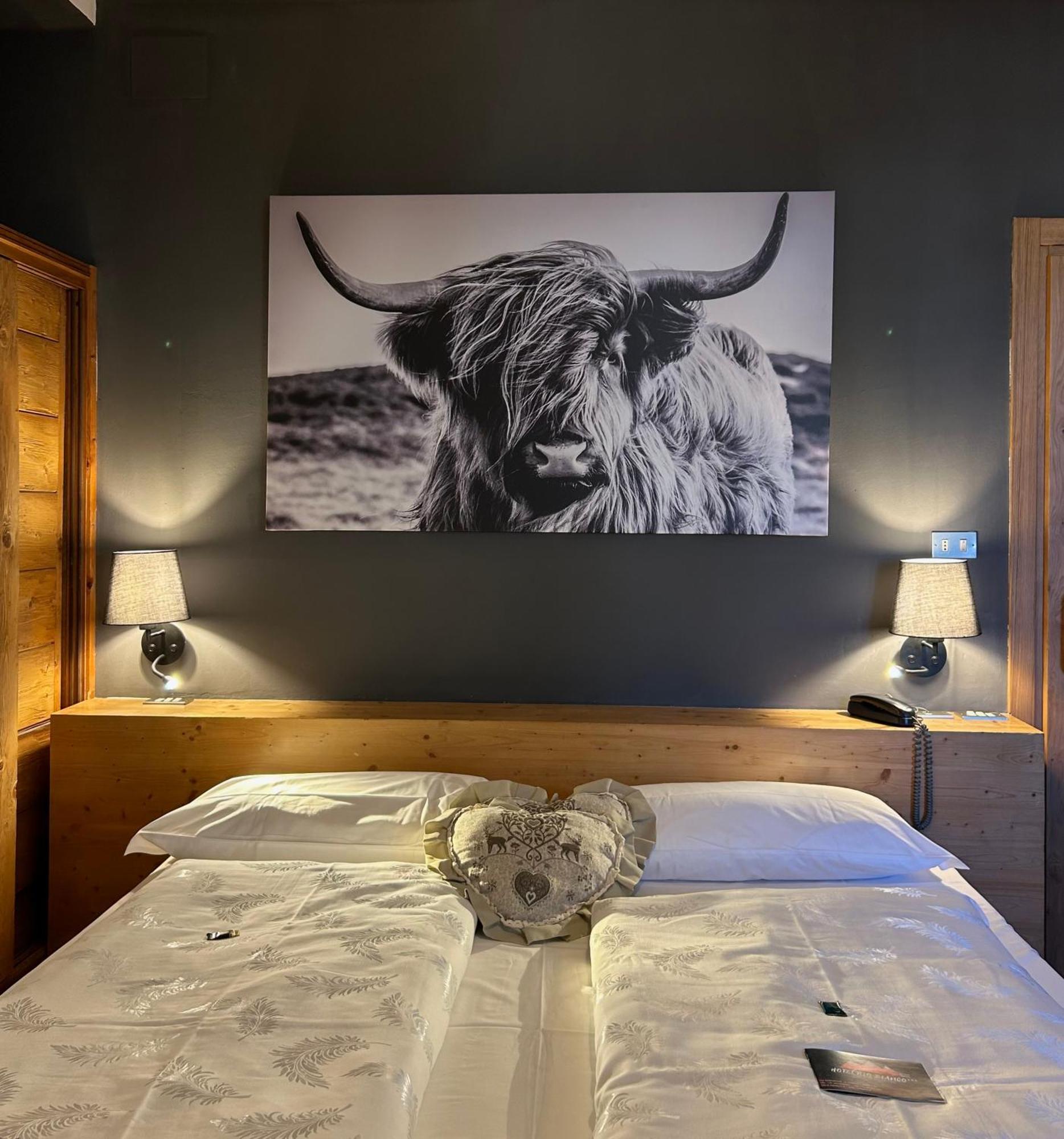 Hotel Rio Bianco Panchia Bagian luar foto